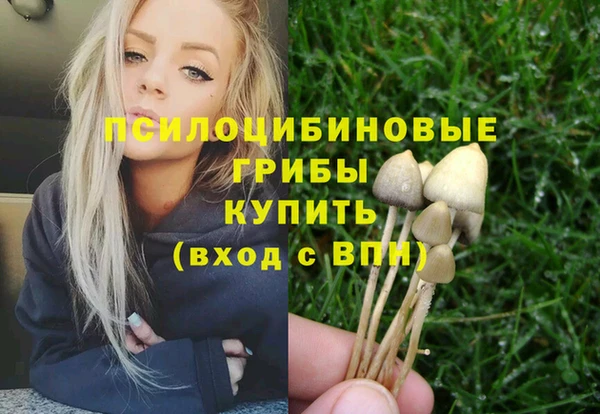 не бодяженный Богородск