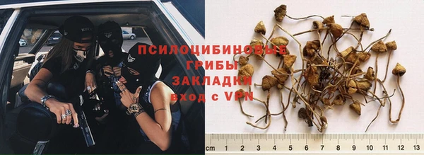 не бодяженный Богородск