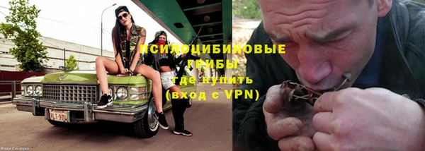 дживик Богданович