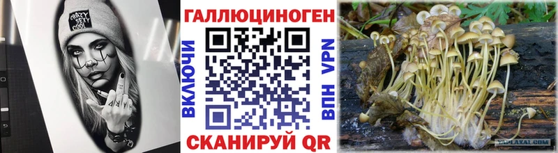 Галлюциногенные грибы Magic Shrooms  Можайск 